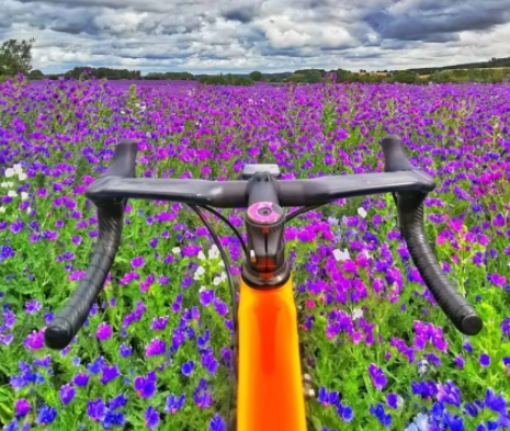 JRC Donut carbon headset top cap