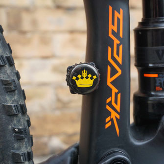 Beer Your Bike – HDM Cover